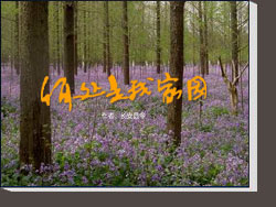 Ͼѧ̨ĿδҼ԰